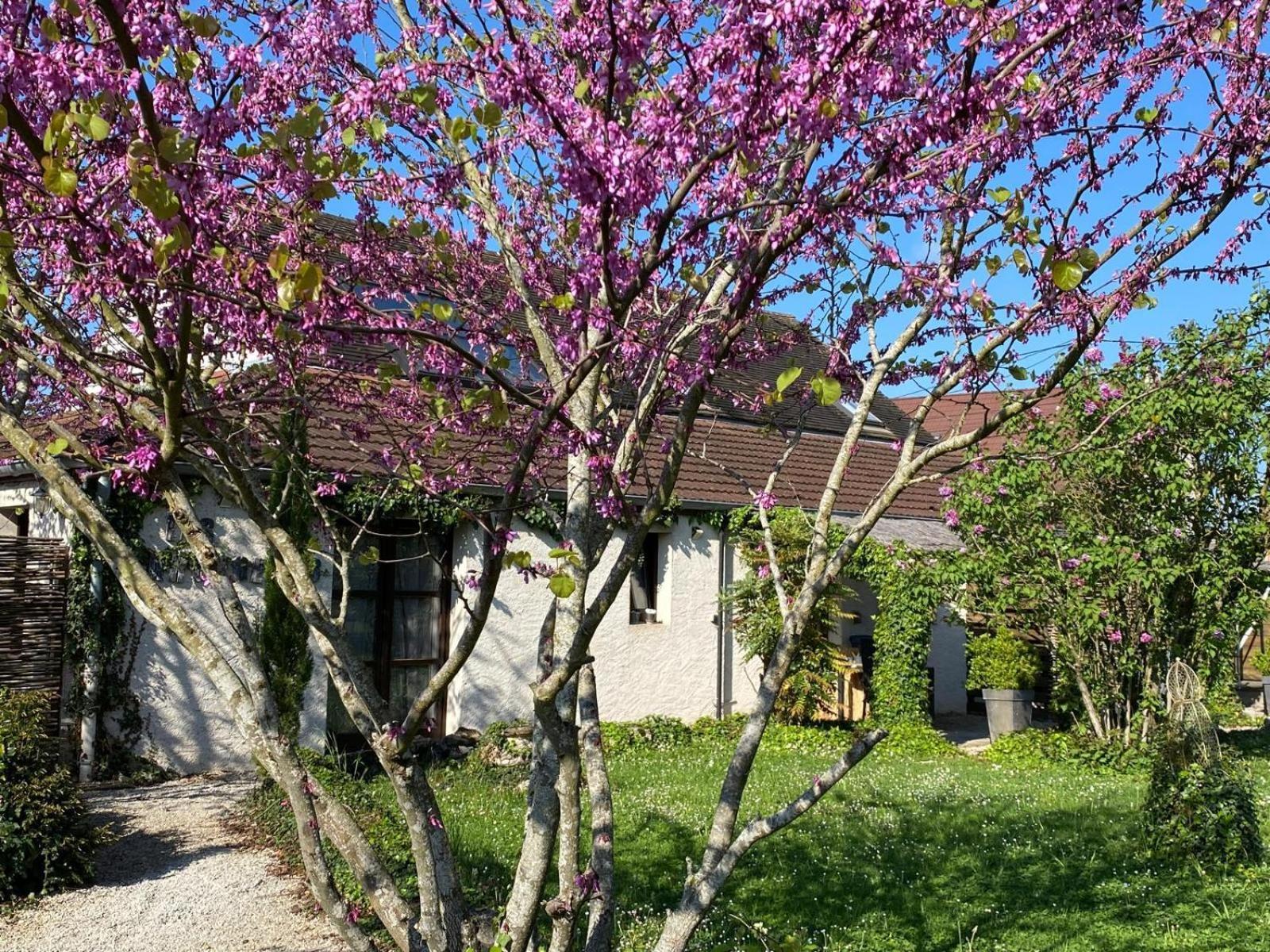 Appartement Les Barongères à Farges-les-Chalon Extérieur photo